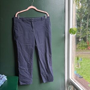 Ann Taylor Navy Straight Leg Pants